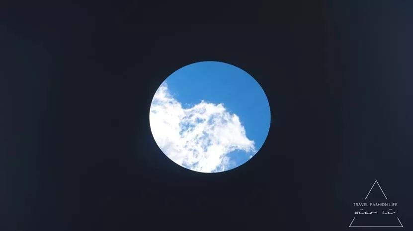 澳洲｜春意堪培拉，看袋鼠、品酒、赏花、住进动物的家