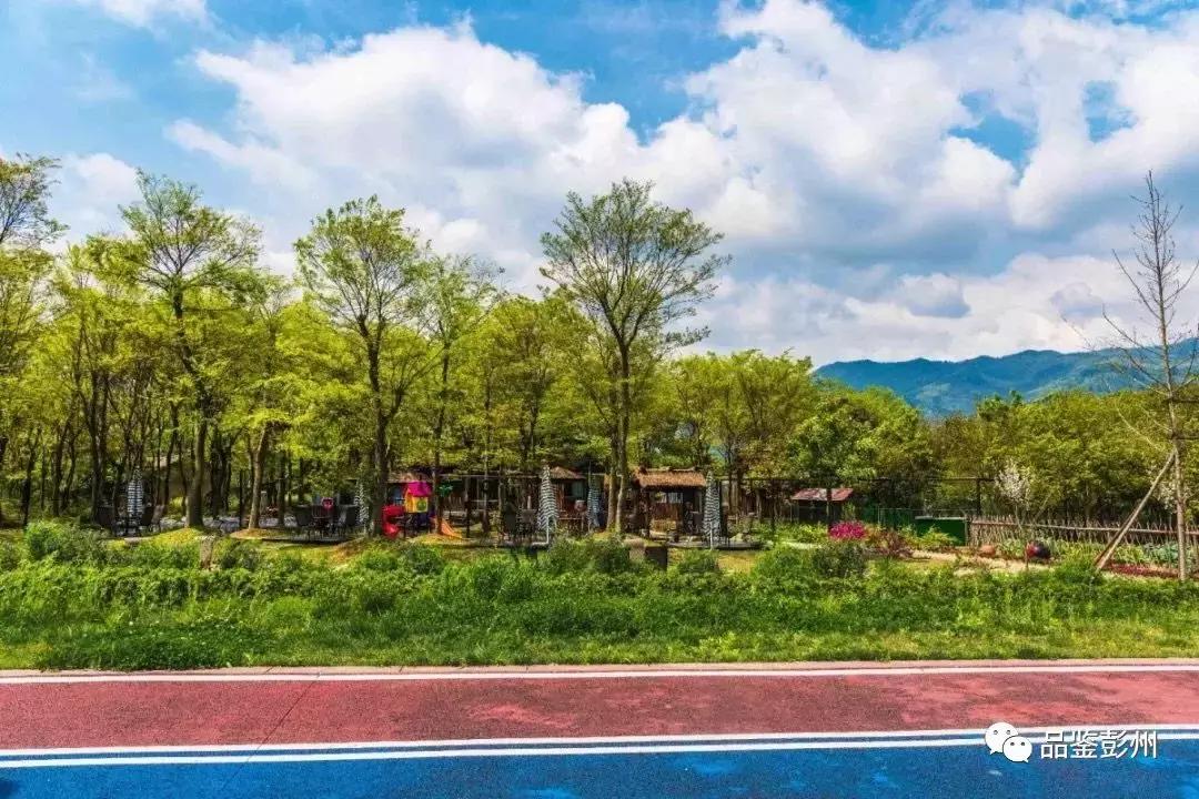 五朵金花组团出战,五朵金花齐聚的时候