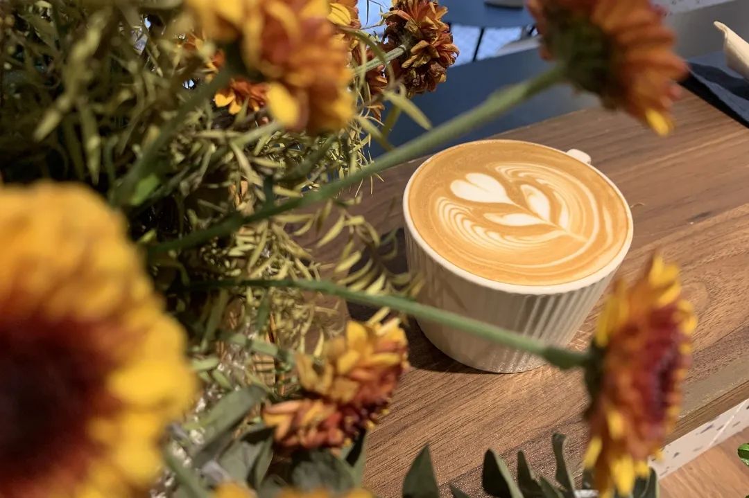 成都街道门面推荐,成都一街道商铺招牌