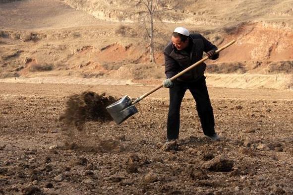 什么是发酵彻底粪肥,粪肥发酵时间过长对肥力有影响吗