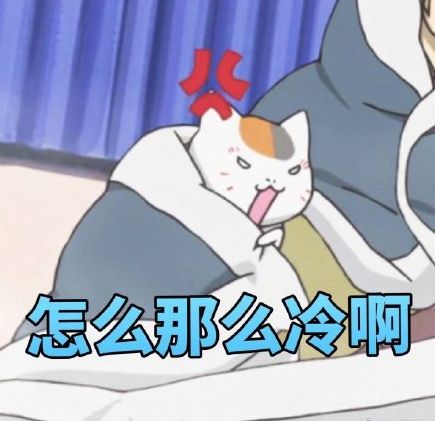 敢不敢赌一次爱情,敢不敢赌一个未来