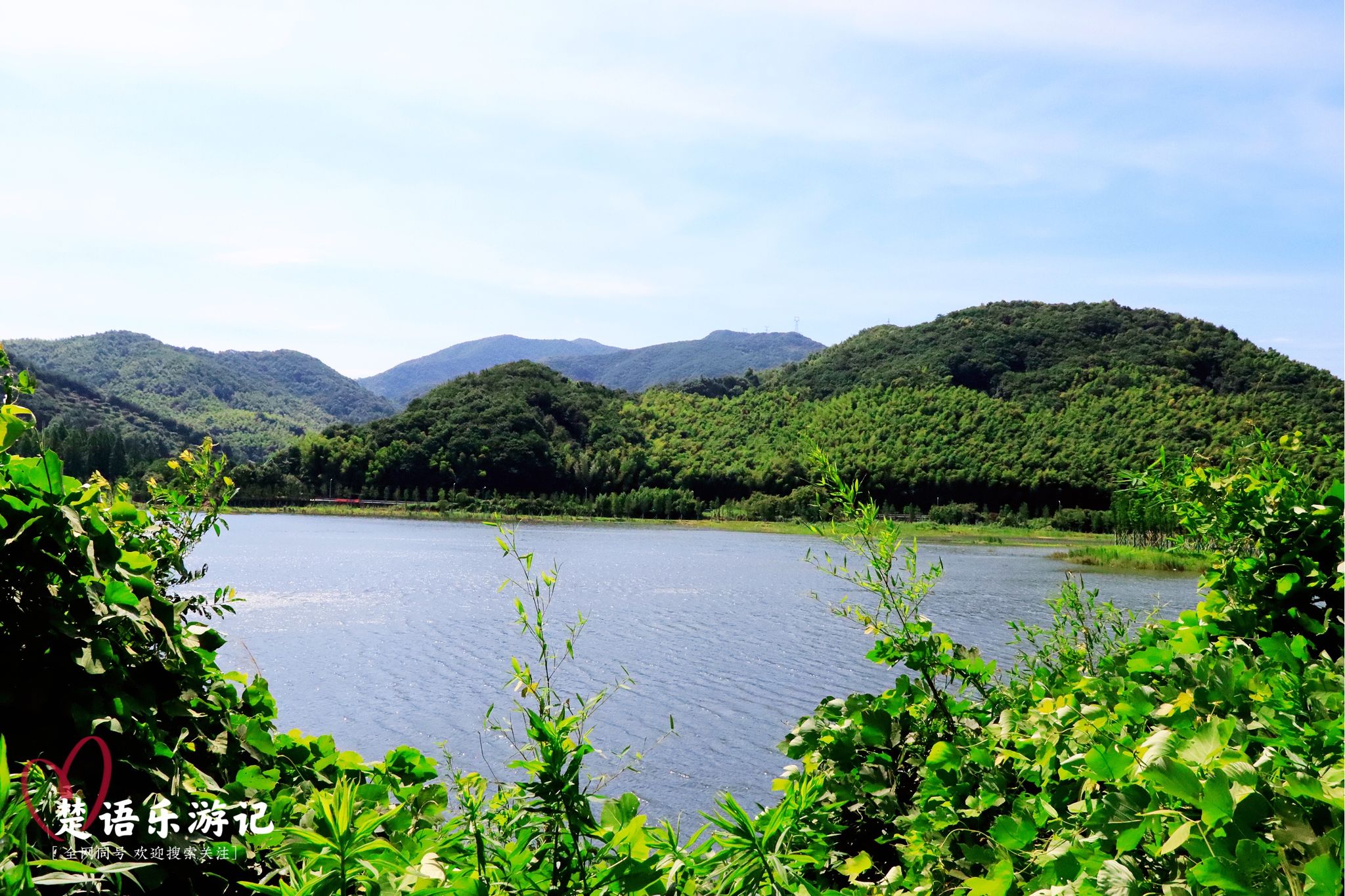 宁波必去三个景点北仑森林公园,宁波大隐森林水库