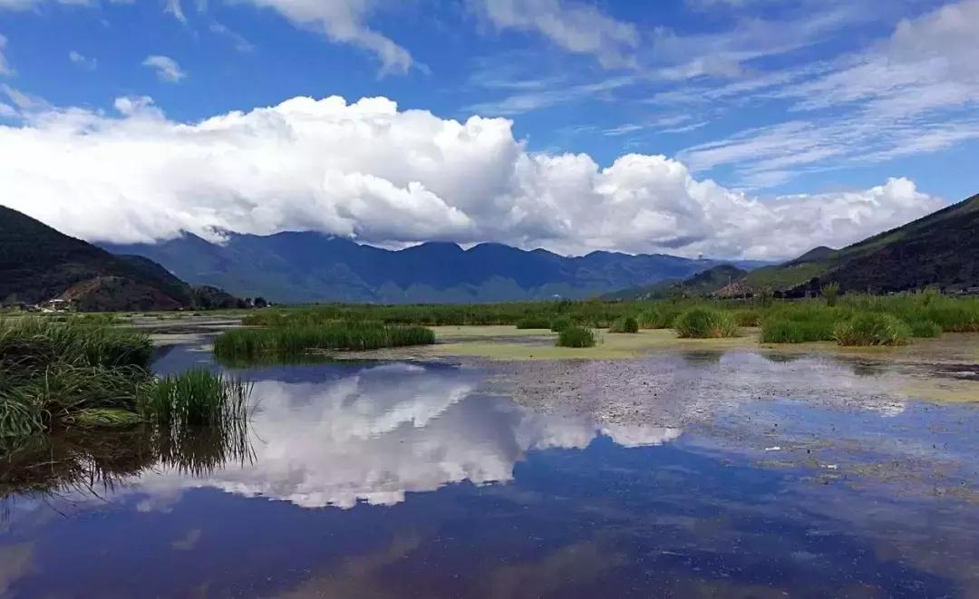 70年有什么经典的歌,6070年代都在听的一首歌