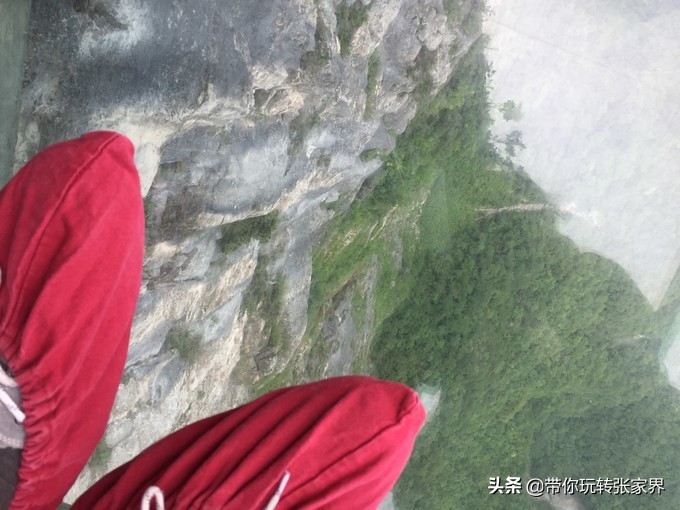 到张家界天门山自助游价格多少钱,武汉到张家界天门山三日游