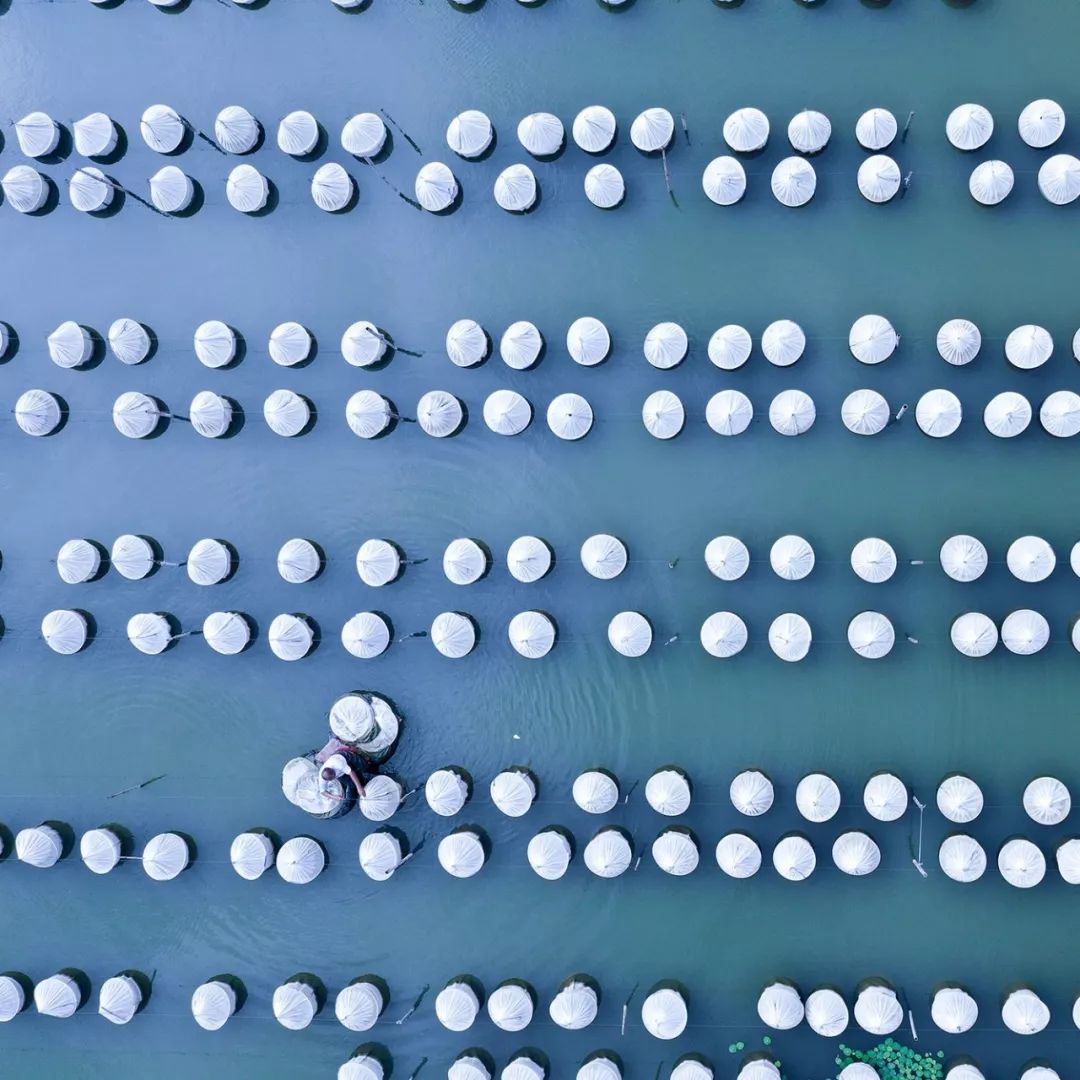 传奇徐州，无问南北