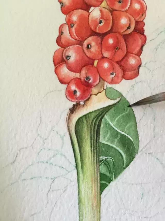 水彩密密麻麻的树叶怎么画,水彩画教程入门叶子