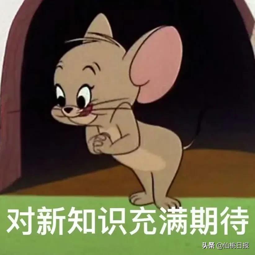 仙桃万余名初三学子复学，家长直呼“神兽终于归笼啦！”