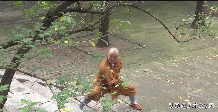武术中寸劲到底有多厉害？想必大家都还不了解，一起认识学习吧