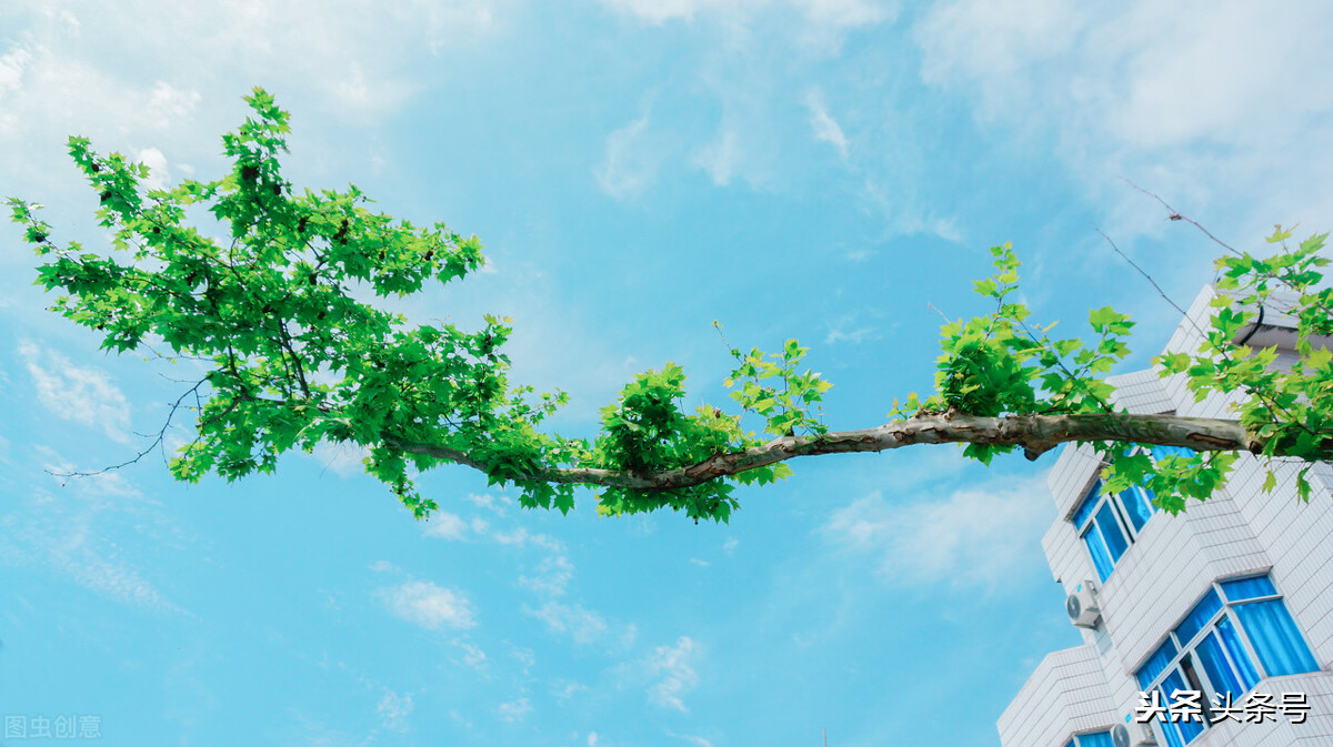 女人结婚后没有曾经的矫情,婚后女人的矫情去哪了