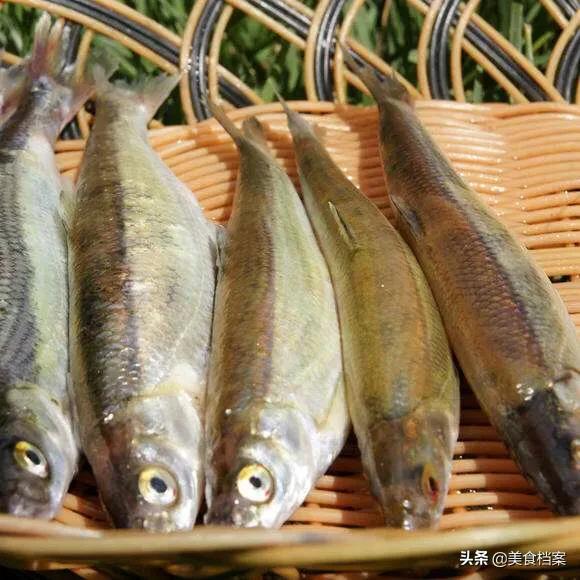公认最好吃的十种鱼,公认最好吃的20种鱼