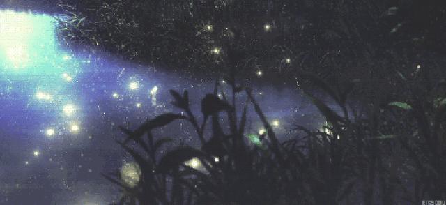 森系婚礼做一场仲夏夜之梦,森系婚礼仿佛走进童话里