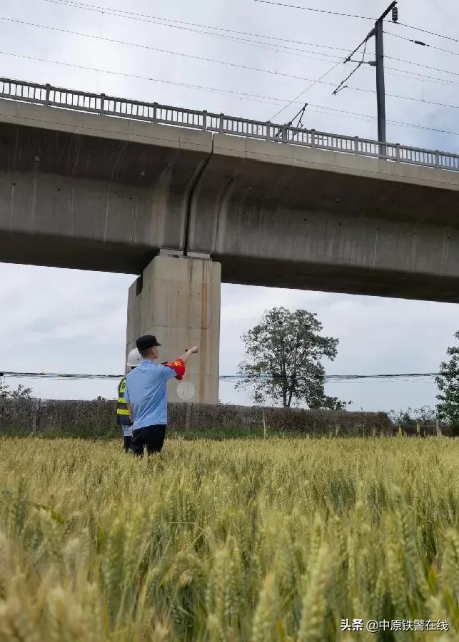 麦田里的守望者歌曲,麦田里的守望者下载