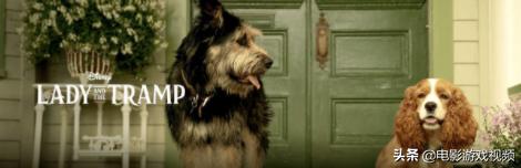 国内如何使用disney流媒体,disney视频平台怎么进