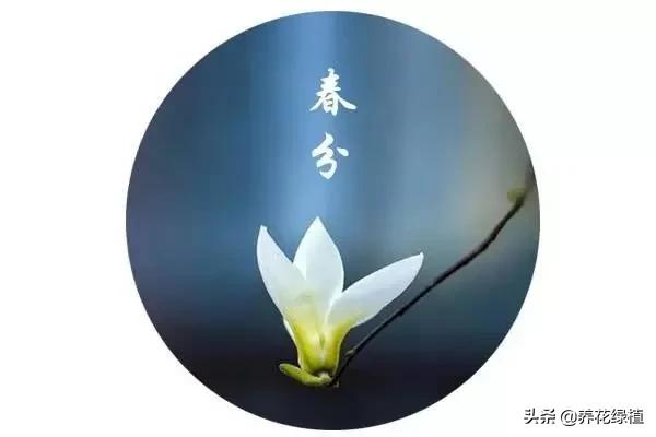 动画二十四节气春分,二十四节气春分解释