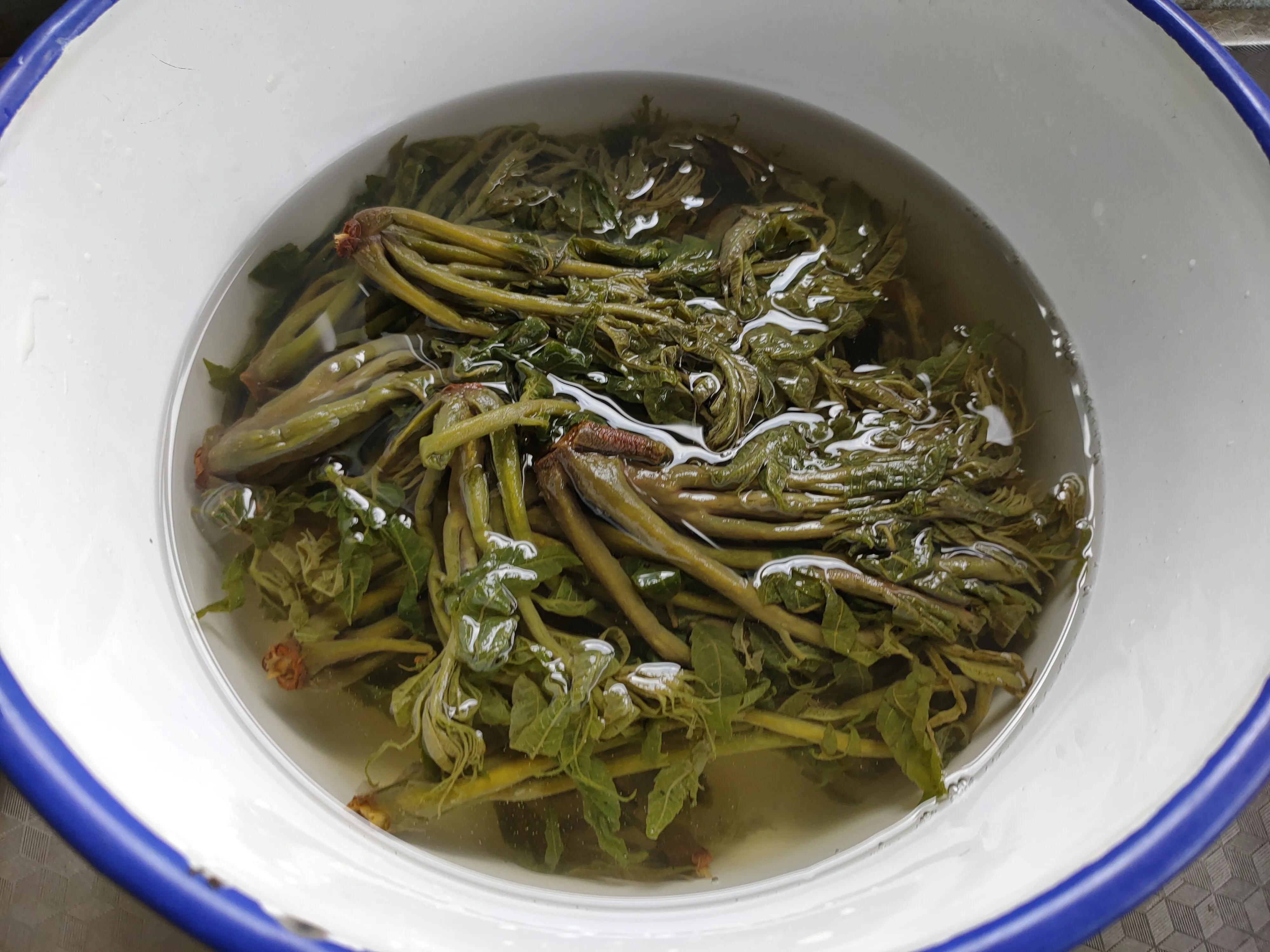 临朐香椿芽最好吃的做法,腌香椿芽的各种吃法大全