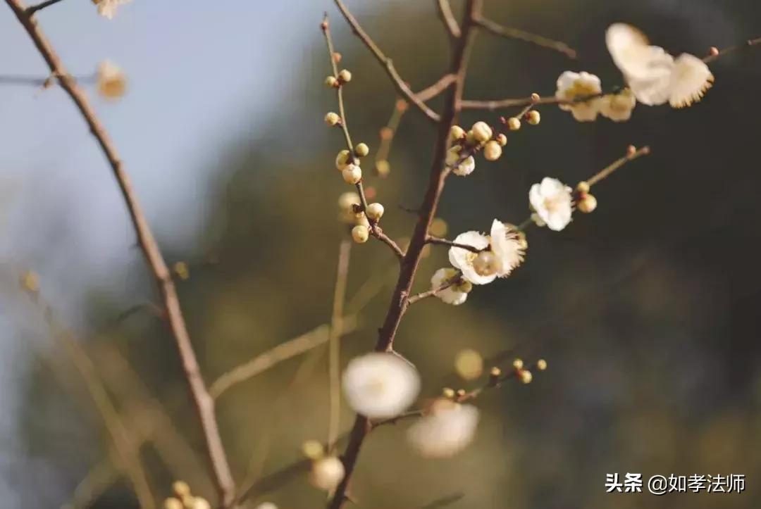 鏄ュぉ鏄敓鍙戠殑瀛ｈ妭涓囩墿澶嶈嫃,鏄ュぉ涓囩墿鐢熷彂瀵撴剰