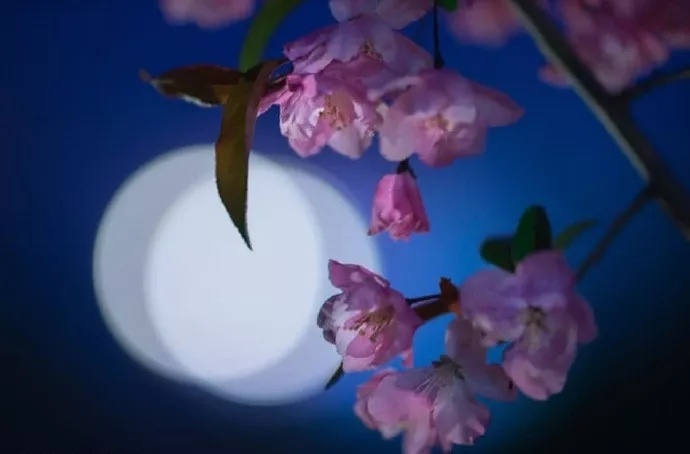 水调歌头丙辰中秋苏轼朗诵,水调歌头描写中秋节的诗句有哪些