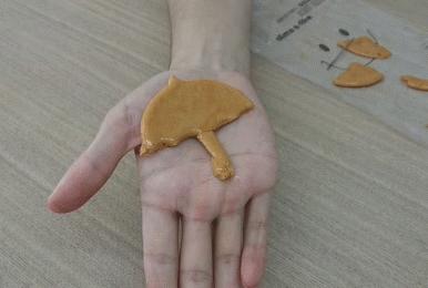 鱿鱼游戏十大未解之迷,鱿鱼游戏中的摩斯电码是什么意思