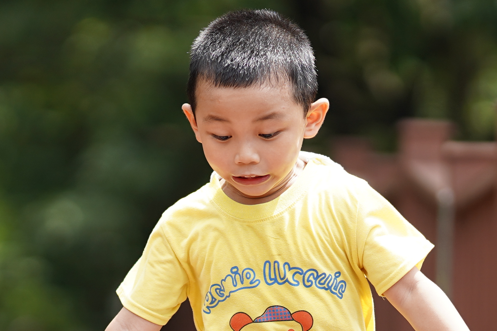 索尼微单搭配适马85mm1.4老款,适马85mmf1.4索尼卡口测评