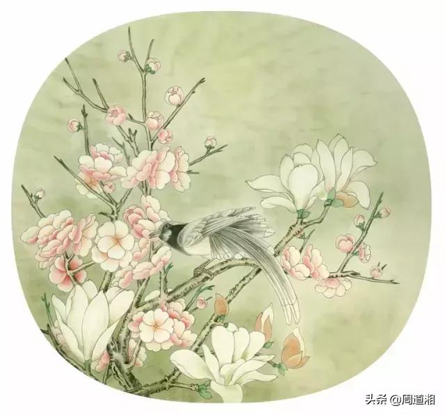 宋人工笔花鸟临摹步骤,工笔花鸟玉兰的画法