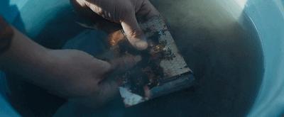 影帝影后的电影不断扑街,影帝影后烂片