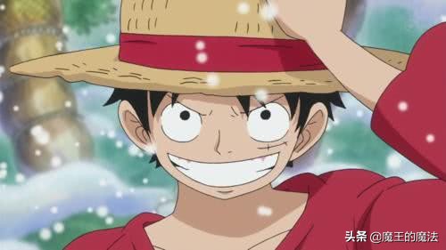 海贼王恶魔果实价值多少贝利,海贼王五大昂贵的果实