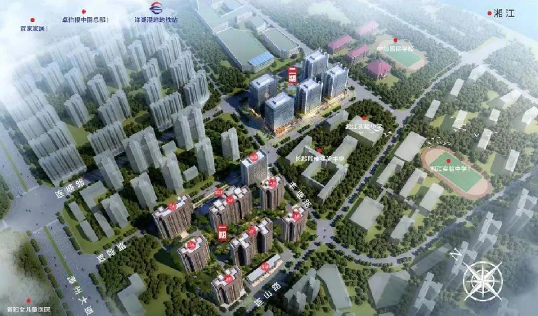 洋湖2025最新规划,洋湖发展