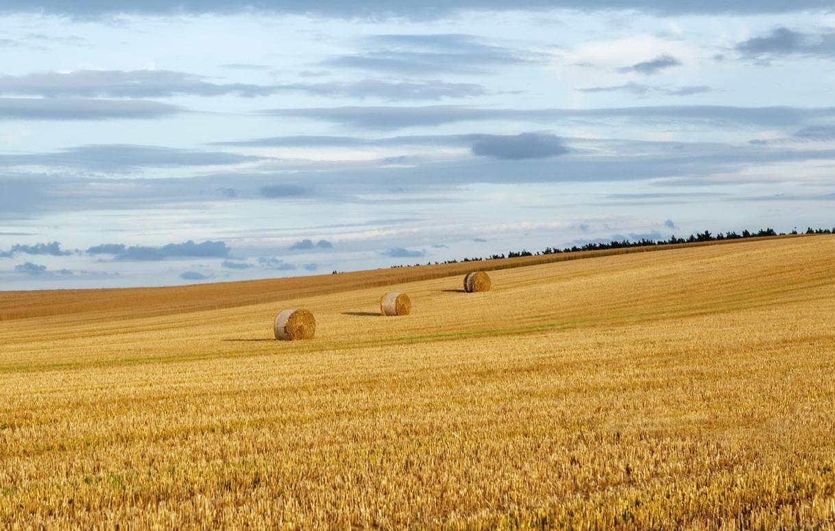 深藏不露低调到令人害怕的星座,城府极深的五个星座狡猾堪比狐狸