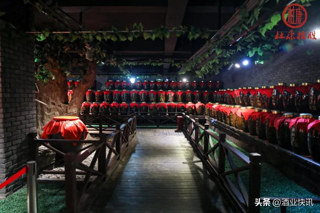 酒祖杜康封坛大典视频,杜康封坛大典为什么吸引人