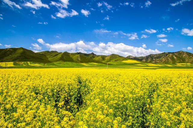 24节气春分的视频,24节气春分是什么意思