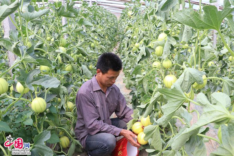 让农民成为乡村振兴的参与者,让农民成为乡村振兴的主力军