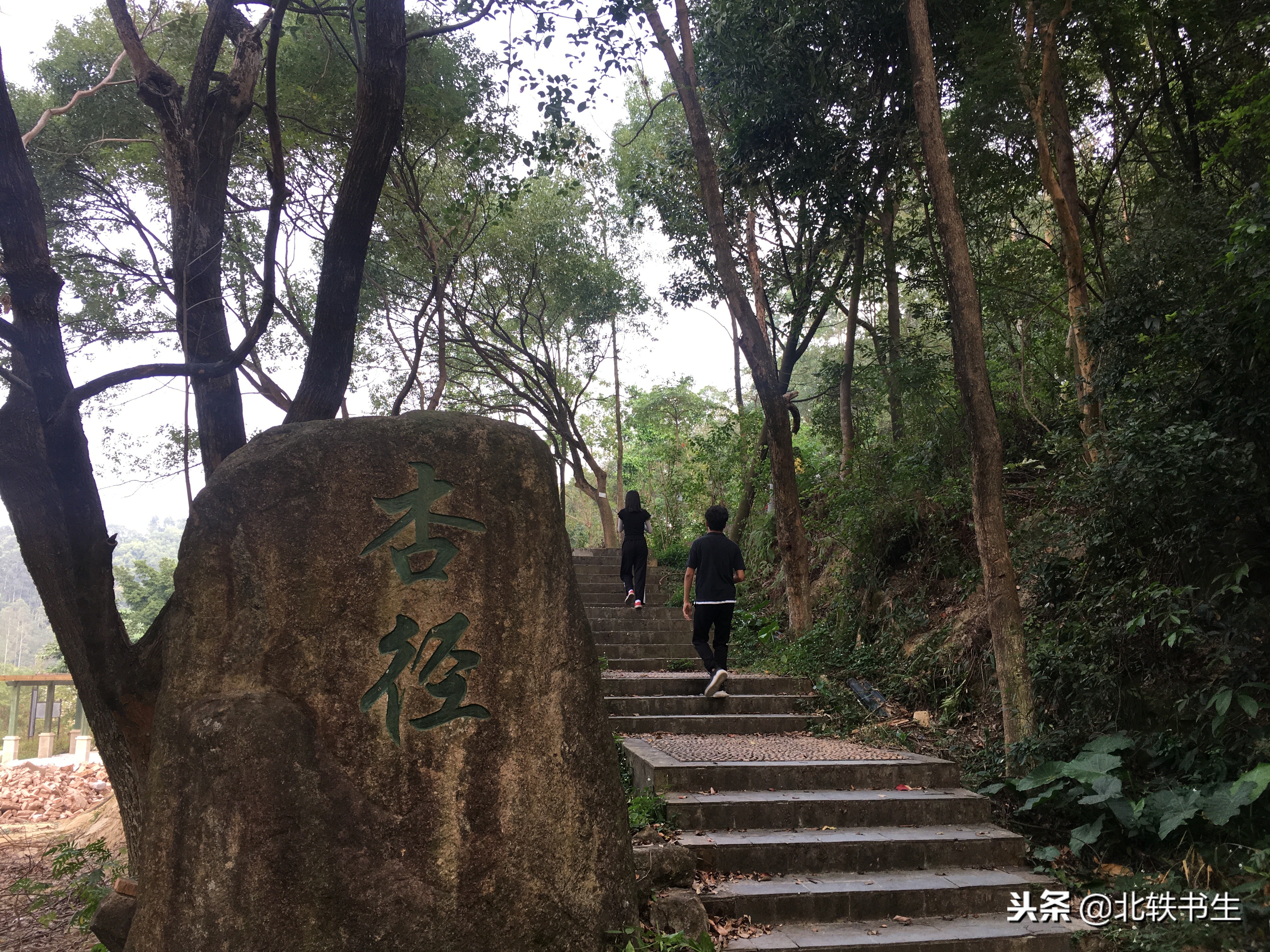 广州值得打卡的免费景点,广州天河必打卡的景点