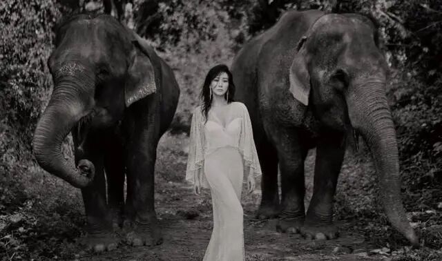 胡静穿黑色衣服,胡静露肩装