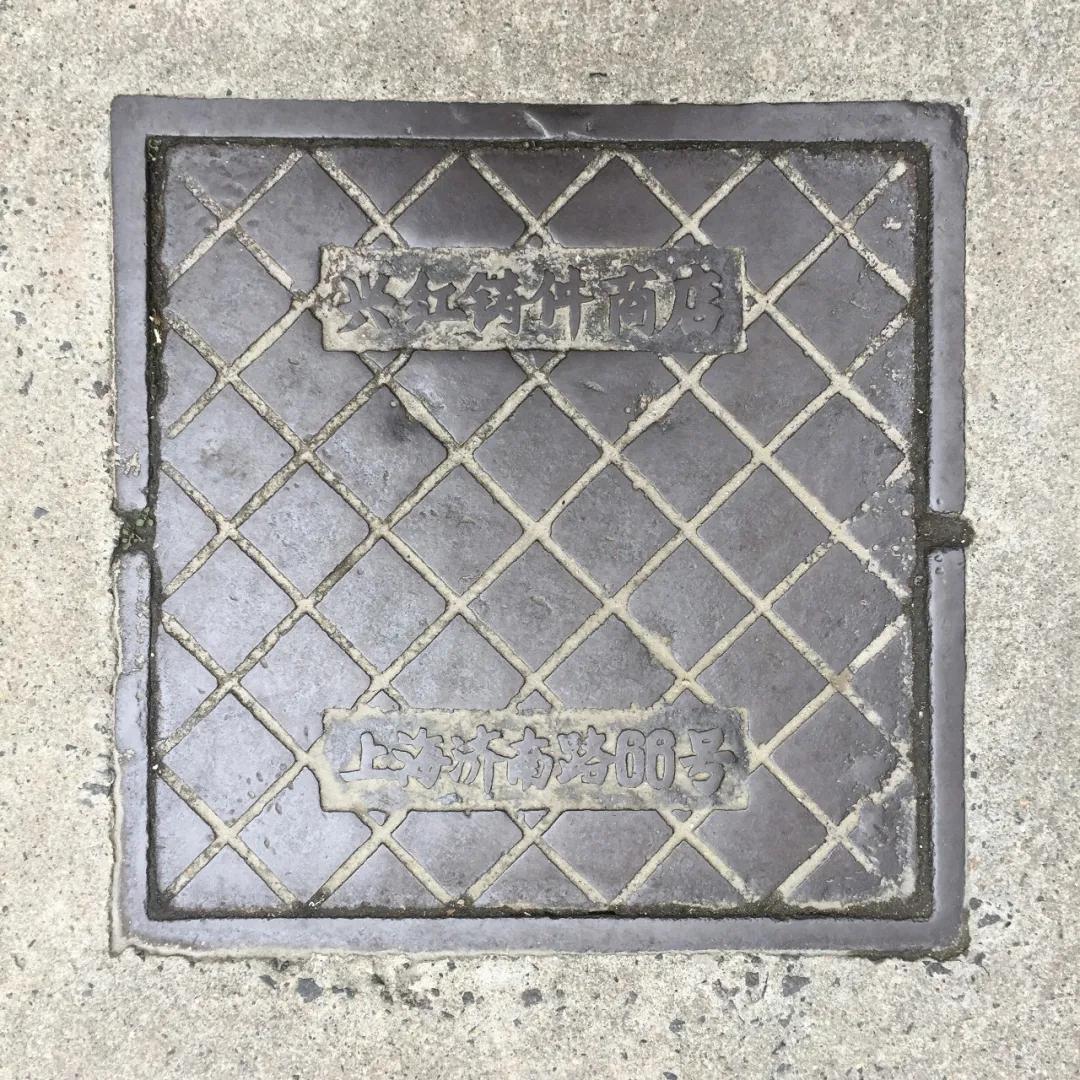 不要错过上海的春天,不要错过上海的夏天