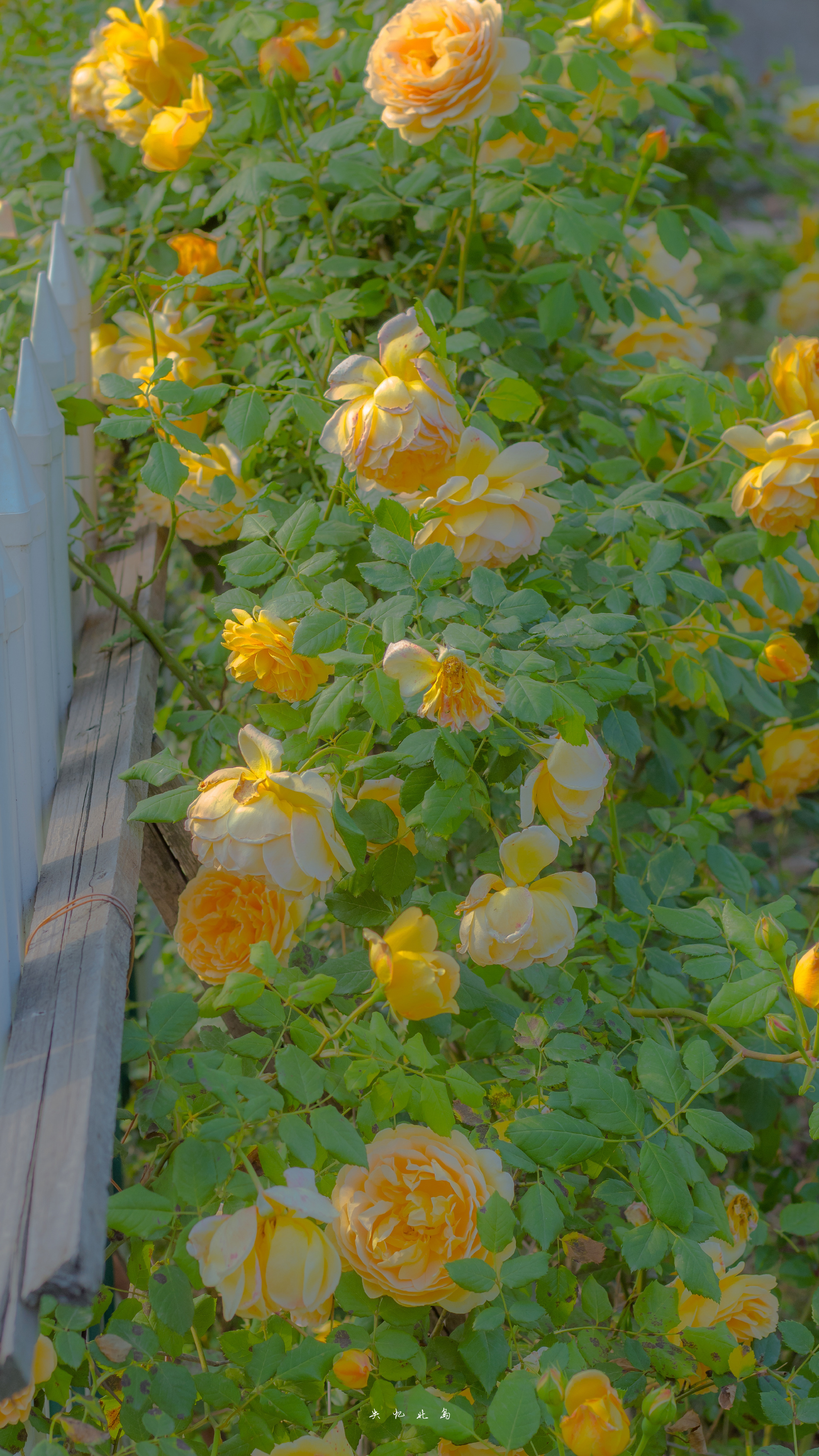 九款惊艳的壁纸推荐,精选壁纸3788