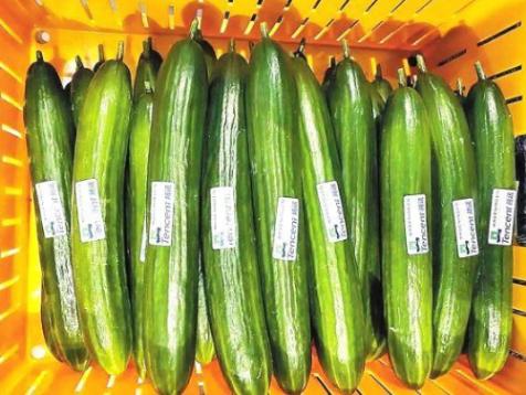 华为要进军养殖业吗,华为科技公司养猪