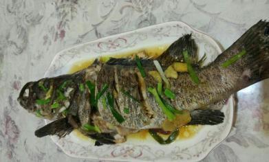微波炉清蒸鱼做法,清蒸鱼的做法鲈鱼