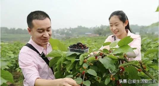 摆地摊卖袜子真能月入几万吗,摆地摊卖袜子怎么卖得快一些