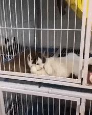 只能亮度调亮才能看得懂的梗,调高亮度才能看懂的梗