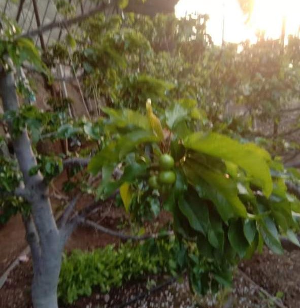 喜大普奔大结局,喜大普奔最后怎么样了