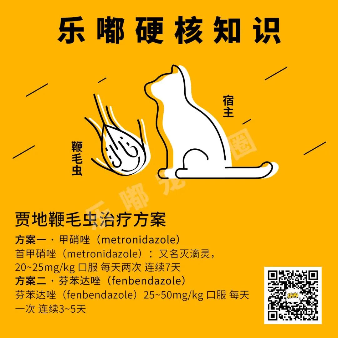 常规驱虫药都不能赶走哪些寄生虫,驱虫注意事项有哪些