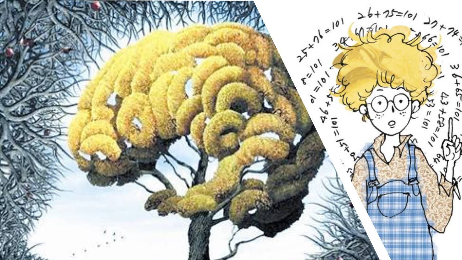 天才的大脑到底有多可怕,天才的大脑和普通人有什么区别