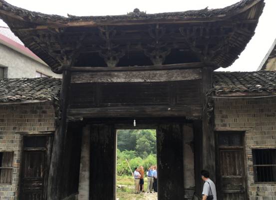 最上层的古代金丝楠木的价格,一棵50年金丝楠木现在市价多少