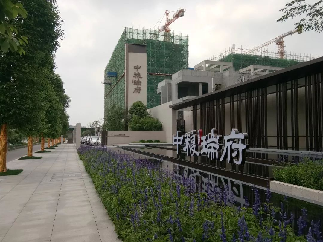 成都这4条“神奇”的街：新房门对门，凭啥最高能便宜1.3万/㎡！