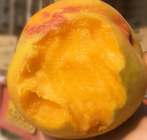 夏天吃什么水果解暑又解馋,炎热夏天吃哪些水果好吃