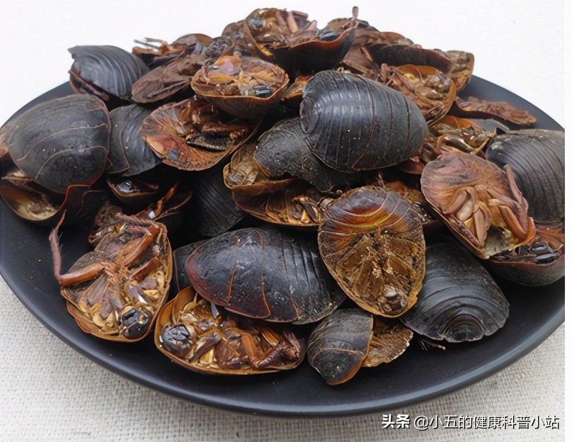 能稳定斑块的中成药,既能降压又能降脂的药