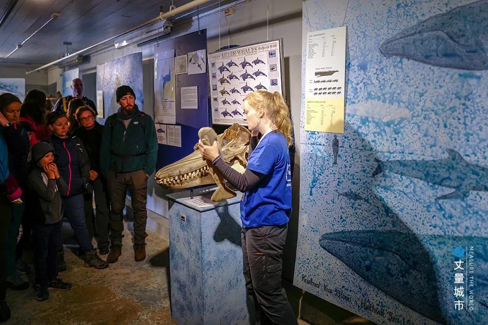 维京遇到全域旅游，美丽乡村、特点小镇一网打尽：挪威渔业史漫步