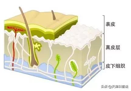 伤口结痂后特别特别的痒是为什么,结痂的地方奇痒难忍为什么