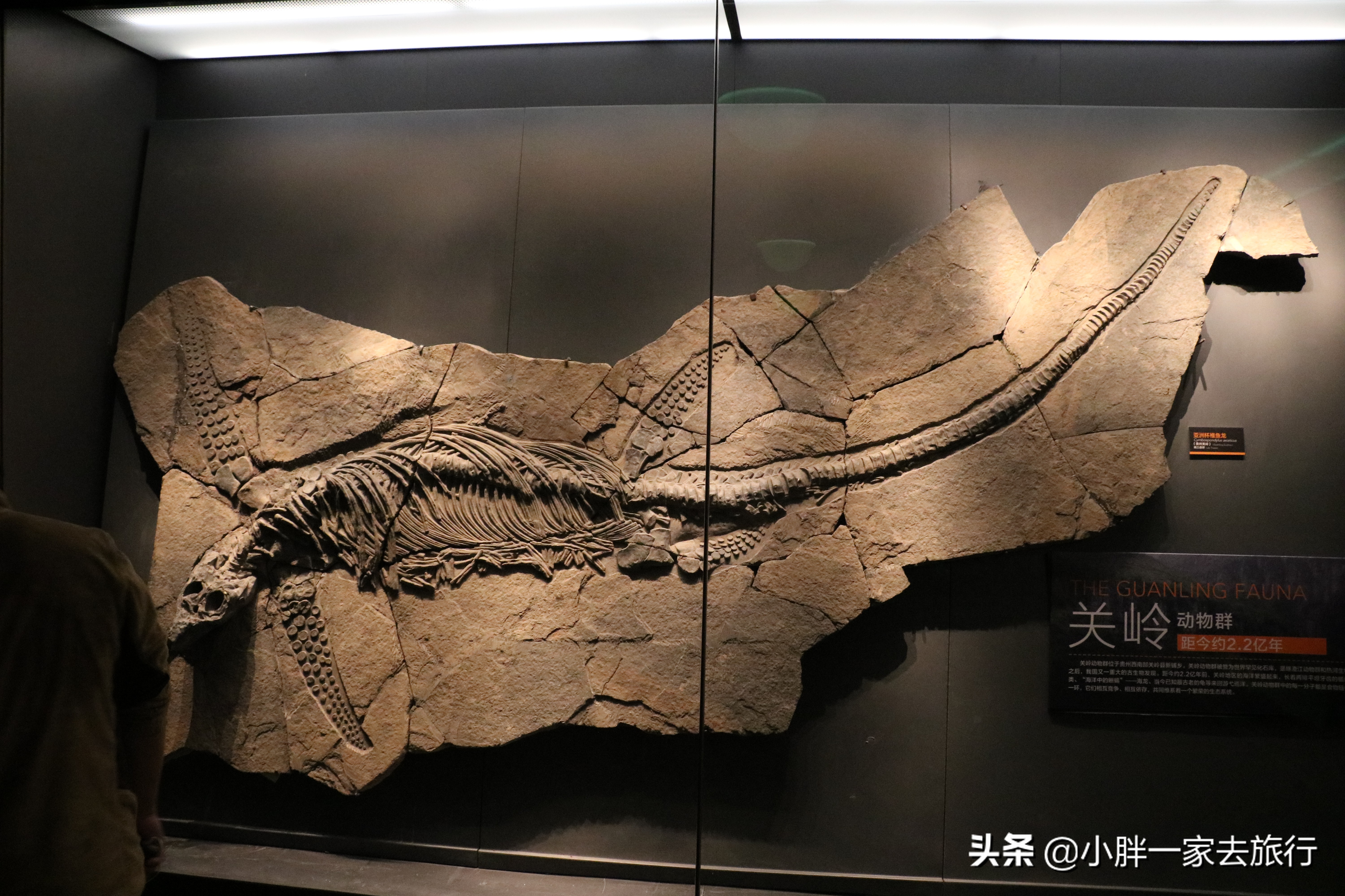 最大的北京海洋博物馆,海上故宫国家海洋博物馆