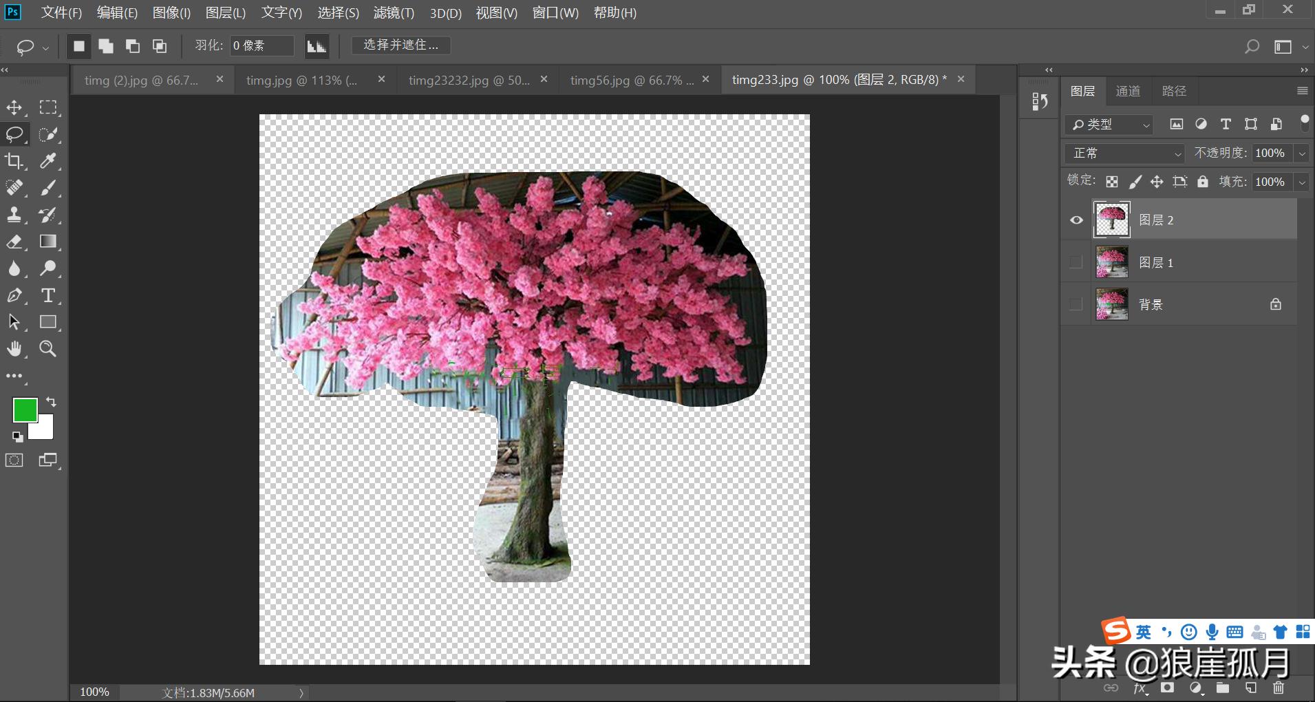 photoshop抠图技巧大全,photoshop抠图详细的方法步骤